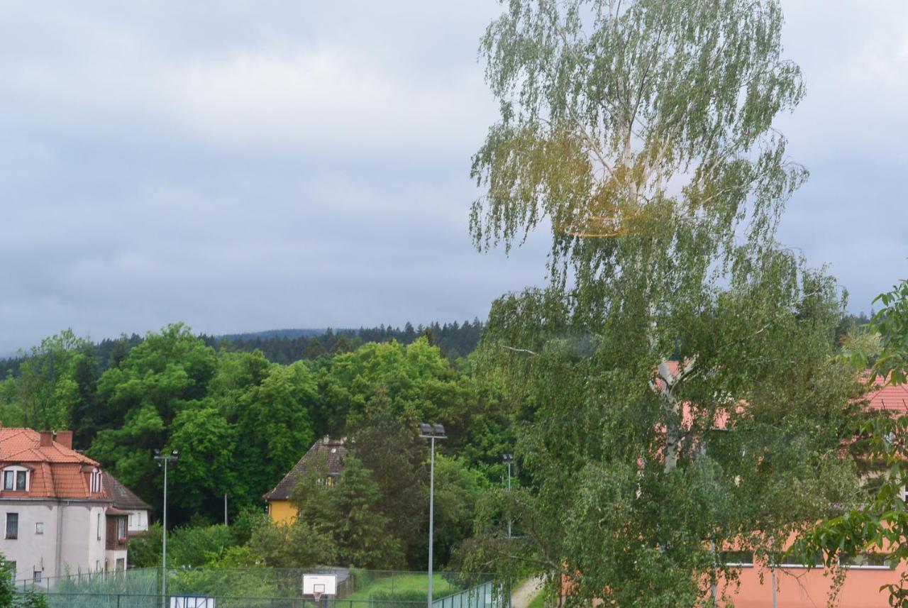 Appartamento Sonia Polanica-Zdrój Esterno foto